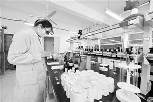 北湖科技園 長春的“中關(guān)村”與科技中介服務(wù)新引擎